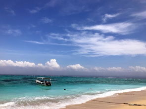 巴厘岛七日游如何选择靠谱的旅行社（巴厘岛七日游费用）