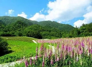 渐次铺展的词语解释,河南最大山脉？