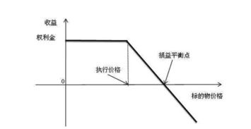 什么是外汇看涨期权？什么是外汇看跌期权？