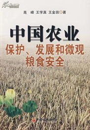 中国农业保护 发展和微观粮食安全