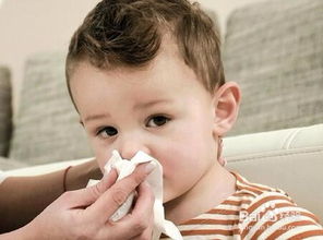 男孩流鼻血是什么原因引起的(男孩流鼻血是什么原因引起的呢?百度百科)