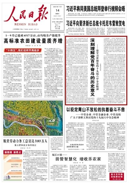 重庆日报新闻早点 揭秘地下 论文工厂