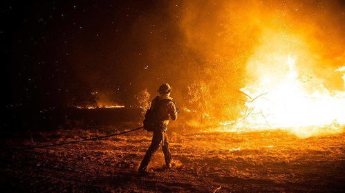 从未发生过如此多无法控制的大火 美国俄勒冈州10 人口撤离