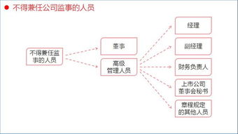 公司股东 和 公司财务负责人 谁能担任公司监事？