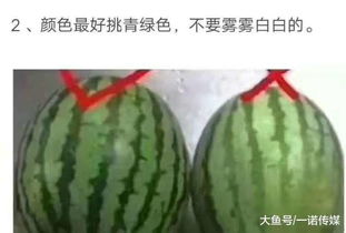 买的西瓜不熟怎么办 分享一个祖传秘方给你 