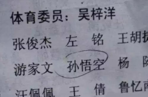 爸爸的姓氏容易引发 社死 ,便想儿子随母姓,奶奶机智敲定名字