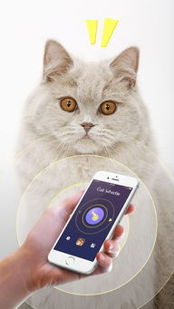 神奇猫哨app下载 神奇猫哨iphone ipad版下载 1.2 