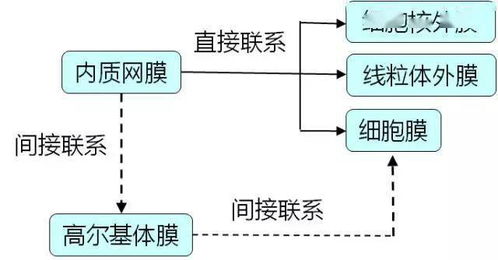 例谈生物膜系统