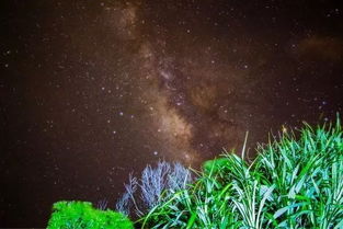 双子座流星雨今晚光临 广东这10个绝佳观赏地,河源独占两席