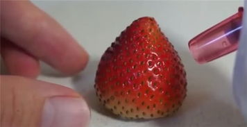 用黑头吸出器吸草莓籽,能成功吗 看看日本小哥做的实验