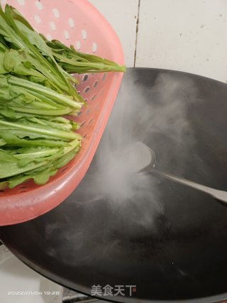 素炒艾菜的做法 素炒艾菜怎么做 l5277的菜谱 