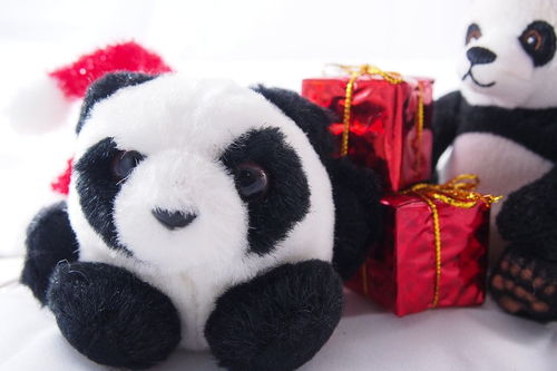 小熊猫多少钱一包网