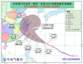 本周五大到暴雨 神秘的 处女座 台风可能真要影响上海了