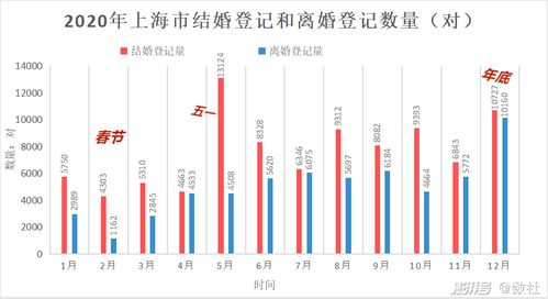 2020上海婚姻数据图说