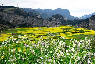 想投资乡村旅游项目，但是不知道具体做哪方面的项目，谁给指点一下啊？