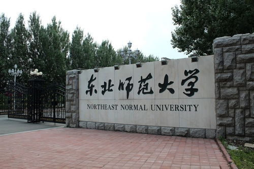 学姐干货 保护一志愿得心安 东北师范大学历史