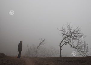 看见162期 落脚城市 无根之乡 