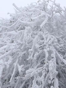 昭通下雪 曲靖下雪 文山大雨 未来2天,云南更是 这些事一定要提醒家人 