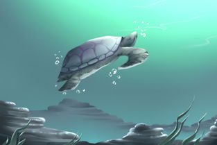 女人梦见乌龟在水里什么预兆,周公解梦：梦见吃乌龟是什么意思