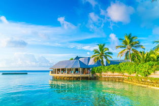 马尔代夫旅游签证一般需要等待多久（去马尔代夫签证）