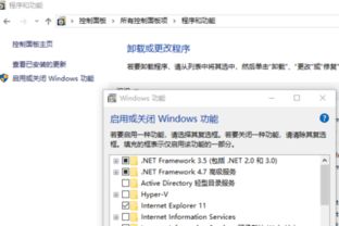 电脑win10的ie11降到ie8