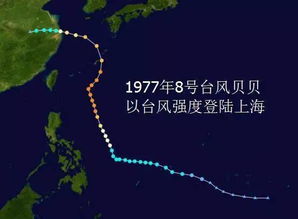 高温 雷雨 台风 上海下周天气让人抓狂