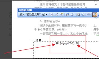 WPS 分栏的页码怎么设置,WORD可以用域,但WPS怎么不行 