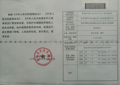 城镇户口如何办合作医疗需要什么证件(社保增员医疗保险和大病互助)