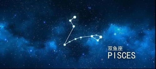 连晓明塔罗 一周星座运势速递 05.25 05.31