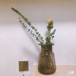 干花怎么插花才好看