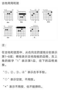 新手入门手把手教你自学吉他,很简单 看完就会 