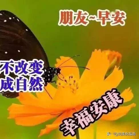 昨也过,明也过,天天开心过 忙也过,闲也过,日子好好过,早安 祝福 