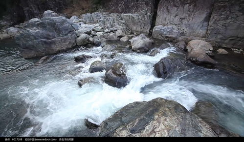 流动的溪水视频实拍