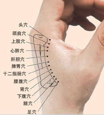 手部按摩有那些穴位