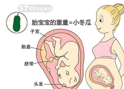 怀孕二个月 怀孕2个月到3个月有什么变化