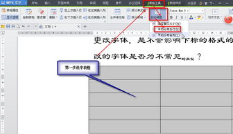 wps的高级选项在哪里