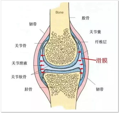 花椒搭配它,是滑膜炎的 克星 ,经常揉一揉,积液消了,关节再也不疼痛