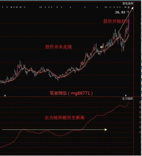 买强势股?还是买可能走强的弱市股?