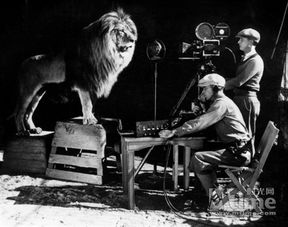 米高梅的电影为什么用狮子做LOGO(米高梅狮子拍摄)