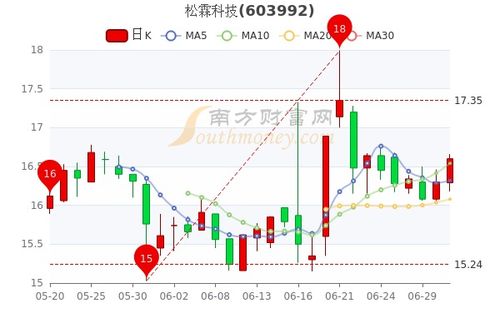 新纶科技股票