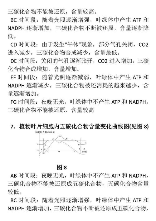 光合作用的公式,光合作用基本公式