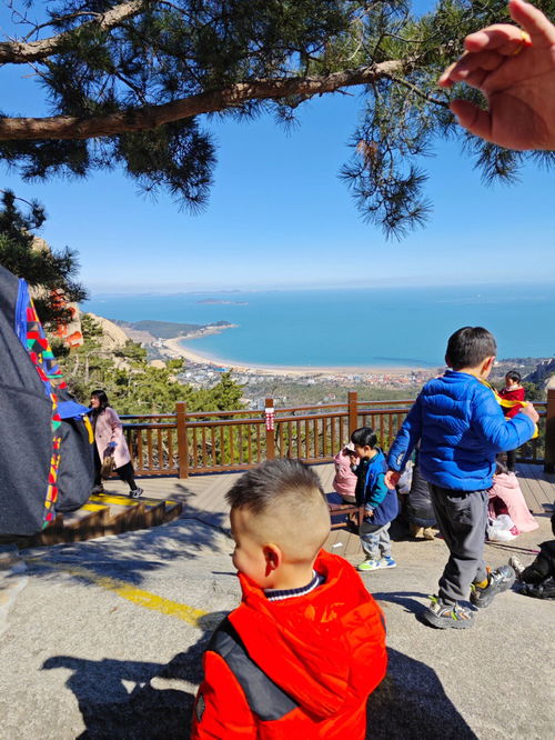 青岛崂山 仰口景区,带娃自驾一日游 