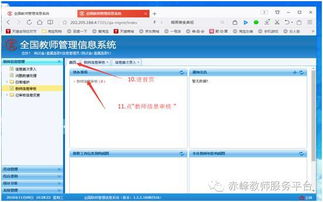 教师信息管理系统 全国教师信息管理系统的登陆入口
