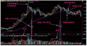 股票什么时候能止跌啊得到多少点啊