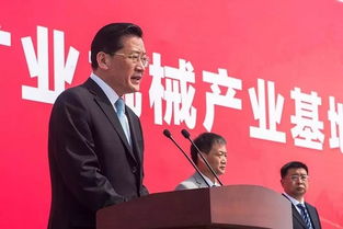 徐州市委常委、开发区党工委书记王强发表讲话