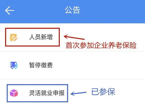 忻州市灵活就业人员怎样网上缴费(忻州个人灵活就业养老保险)