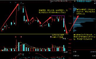 我想请问一下我现在持有一家有限责任公司的股份，我想要把他转让出去，又不想转给公司现有的股东，我应该