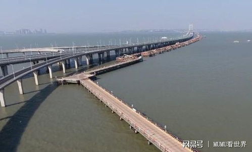 大海那么深,那么跨海大桥的桥墩是怎么打下去的呢 看完涨知识