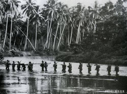 瓜岛日军司令靠树根充饥,军官饿到没力气上船,怪海军不管不顾