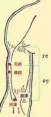 想要秋天少生病,一定要拍打此处,大病小病它都管